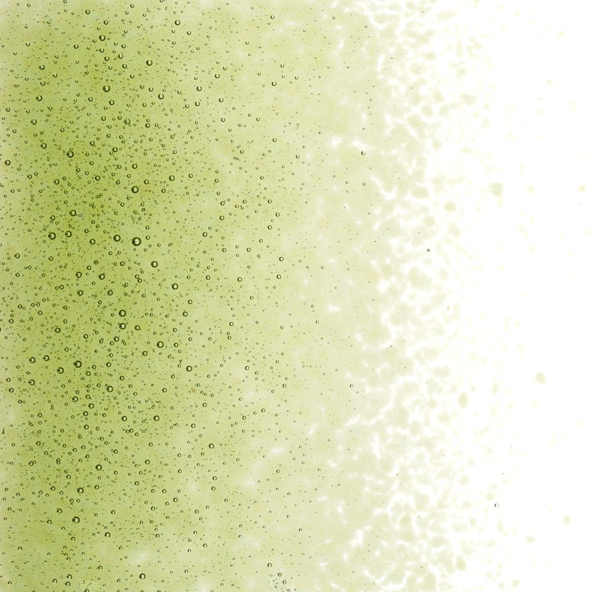 Featured image for “Fern Green Transparent, Fine Frit 001207-0001-F_01”