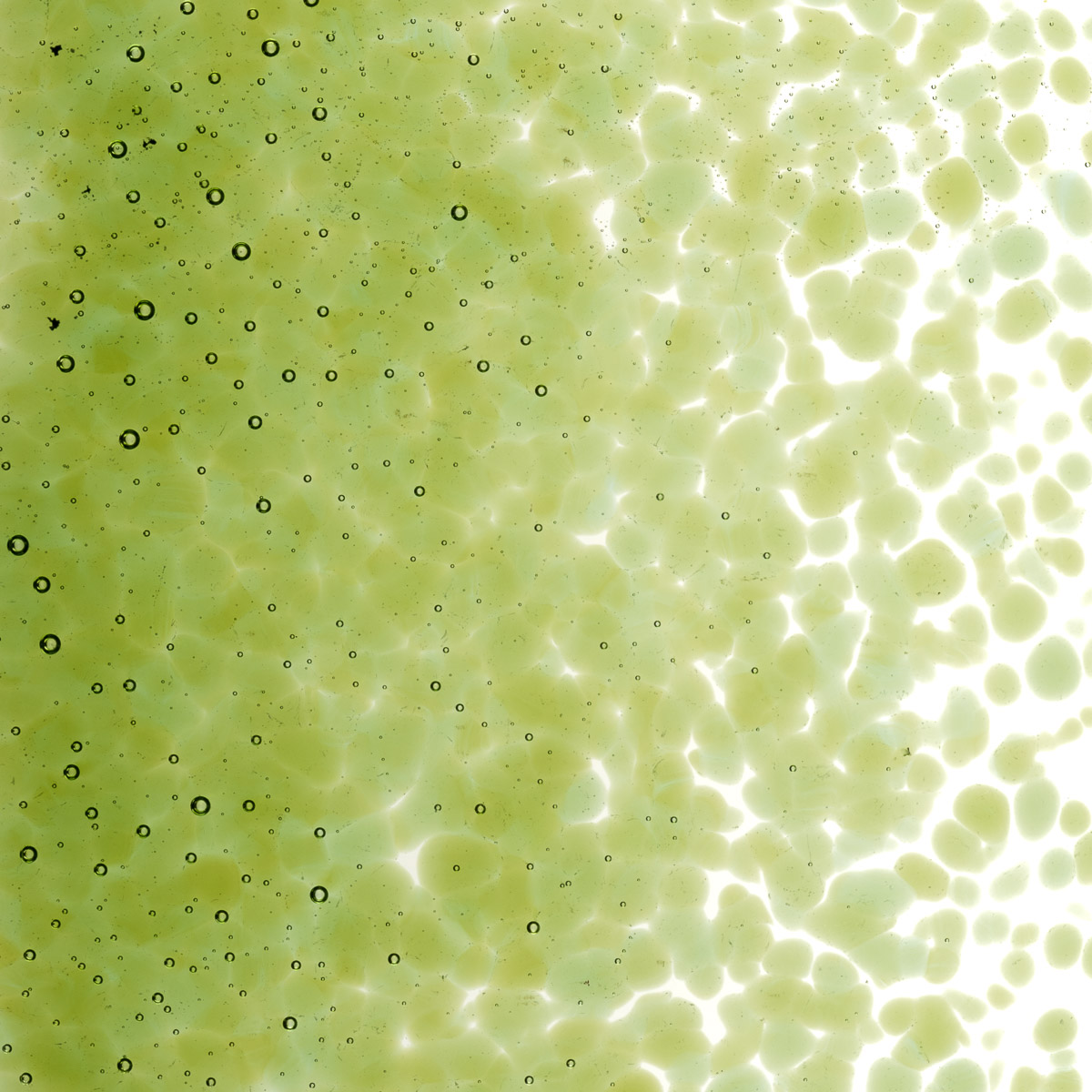 Featured image for “Fern Green Transparent, Medium Frit 001207-0002-F_01”
