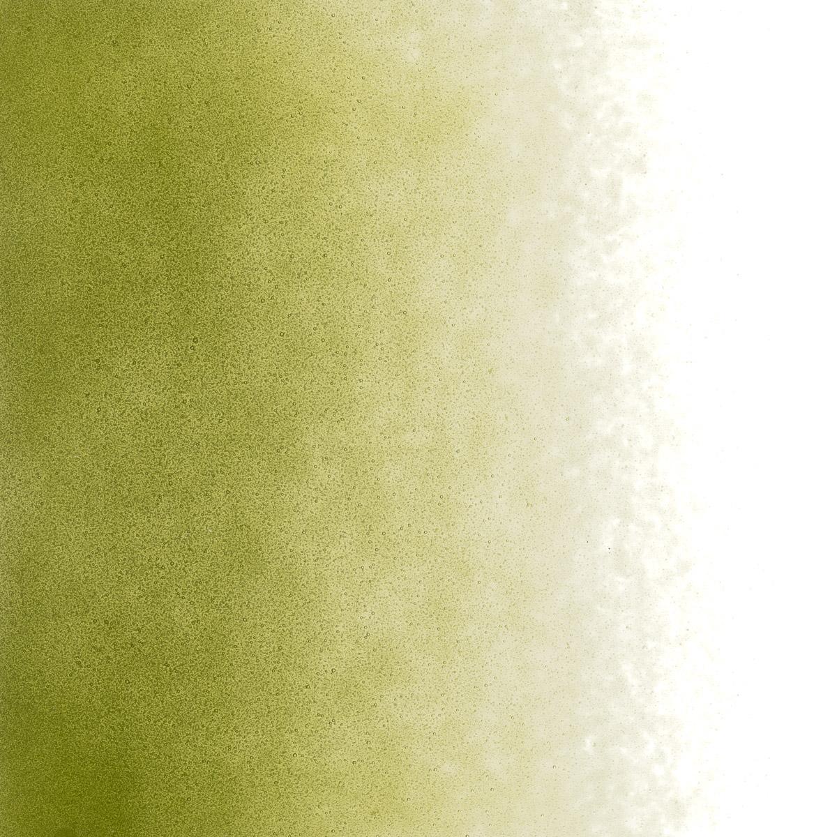 Featured image for “Fern Green Transparent, Powder Frit 001207-0008-F_01”