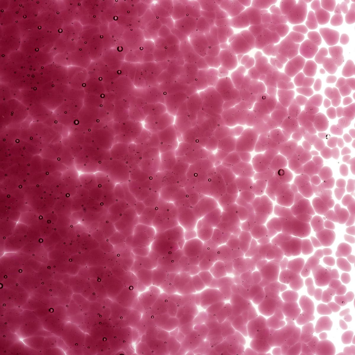 Featured image for “Fuchsia Transparent, Medium Frit 001332-0002-F_01”