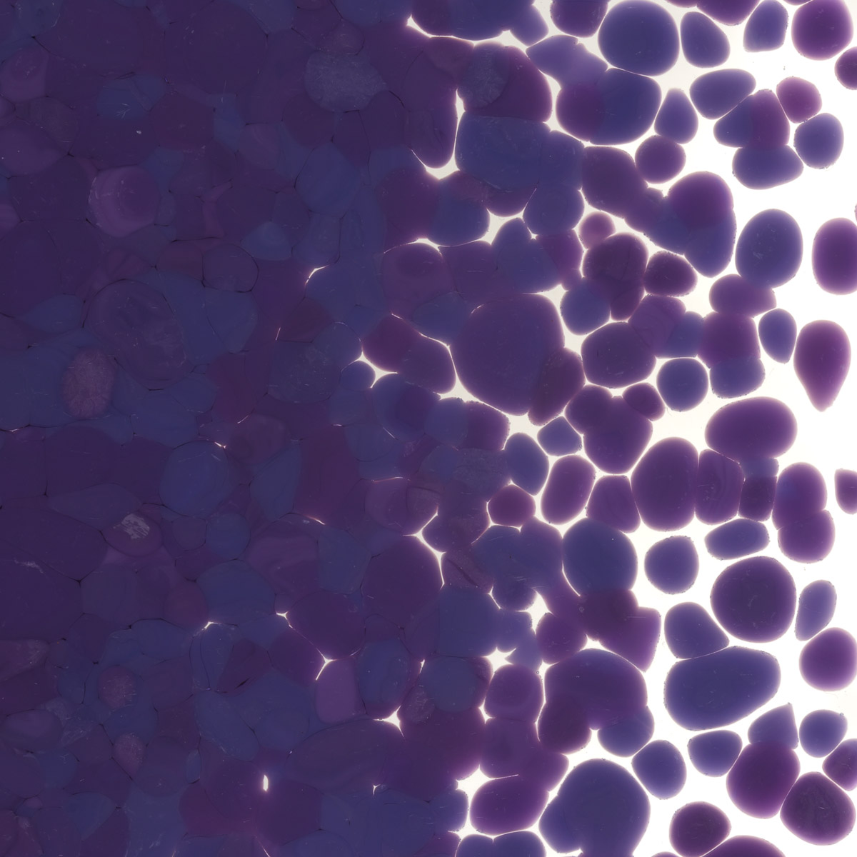 Featured image for “Gold Purple Opalescent, Coarse Frit 000334-0003-F_01 (1)”