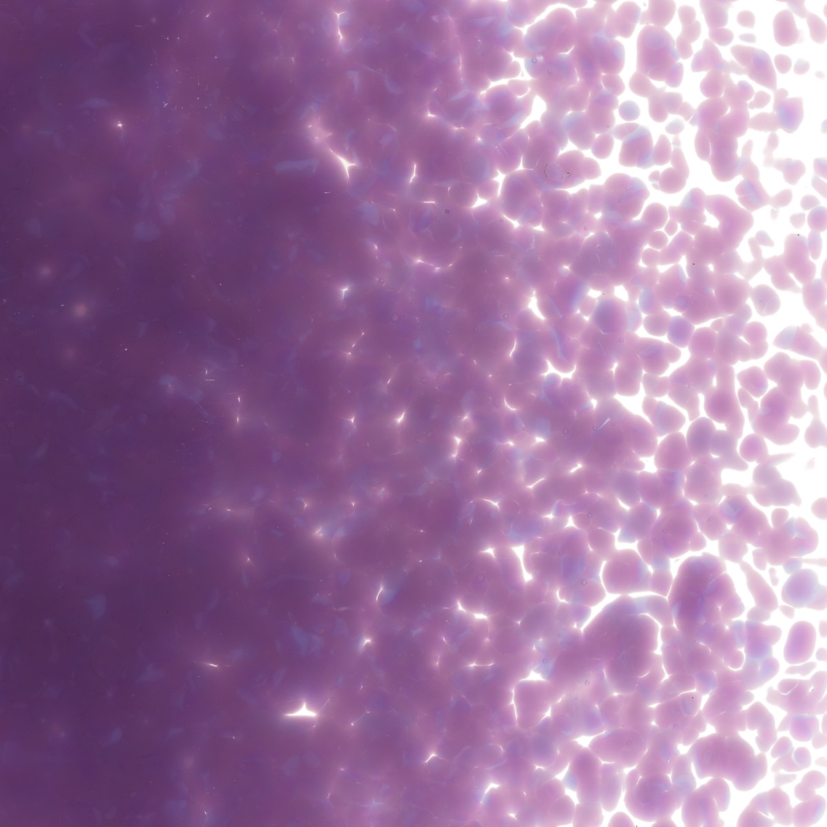 Featured image for “Gold Purple Opalescent, Medium Frit 000334-0002-F_01”