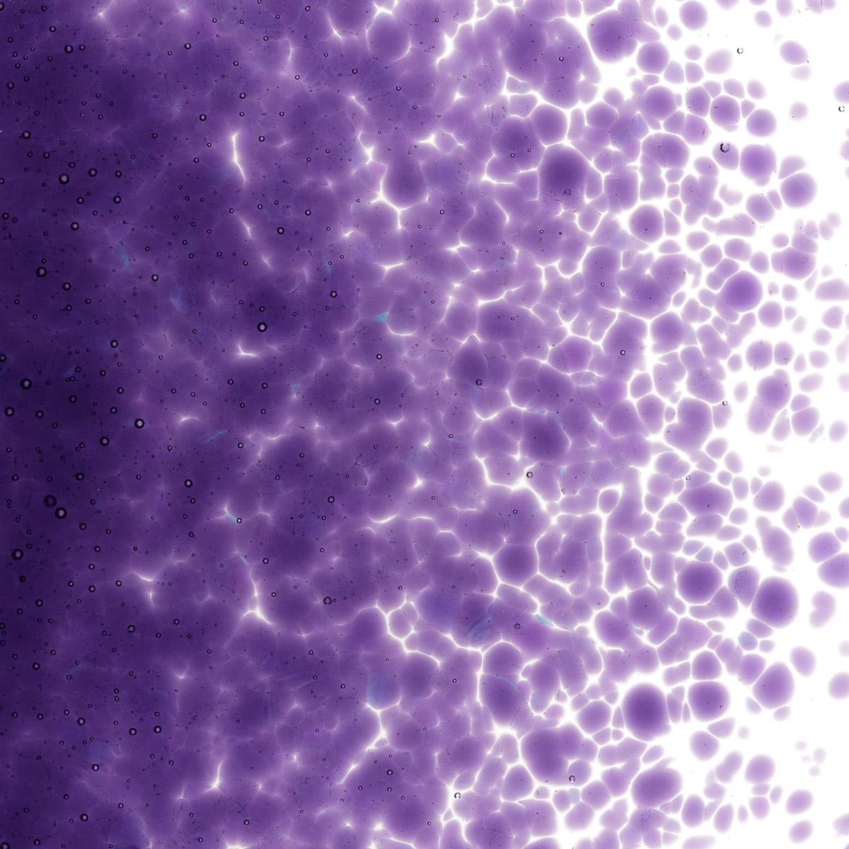Featured image for “Gold Purple Transparent, Medium Frit 001334-0002-F_01”