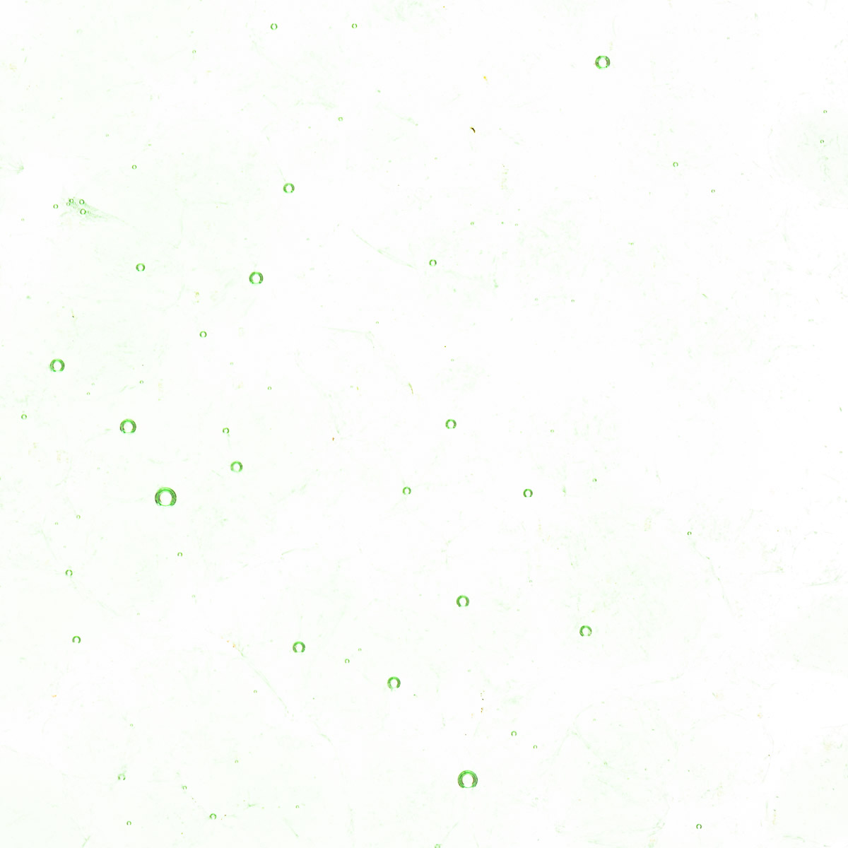 Featured image for “Grass Green Tint, Coarse Frit 001807-0003-F_01”