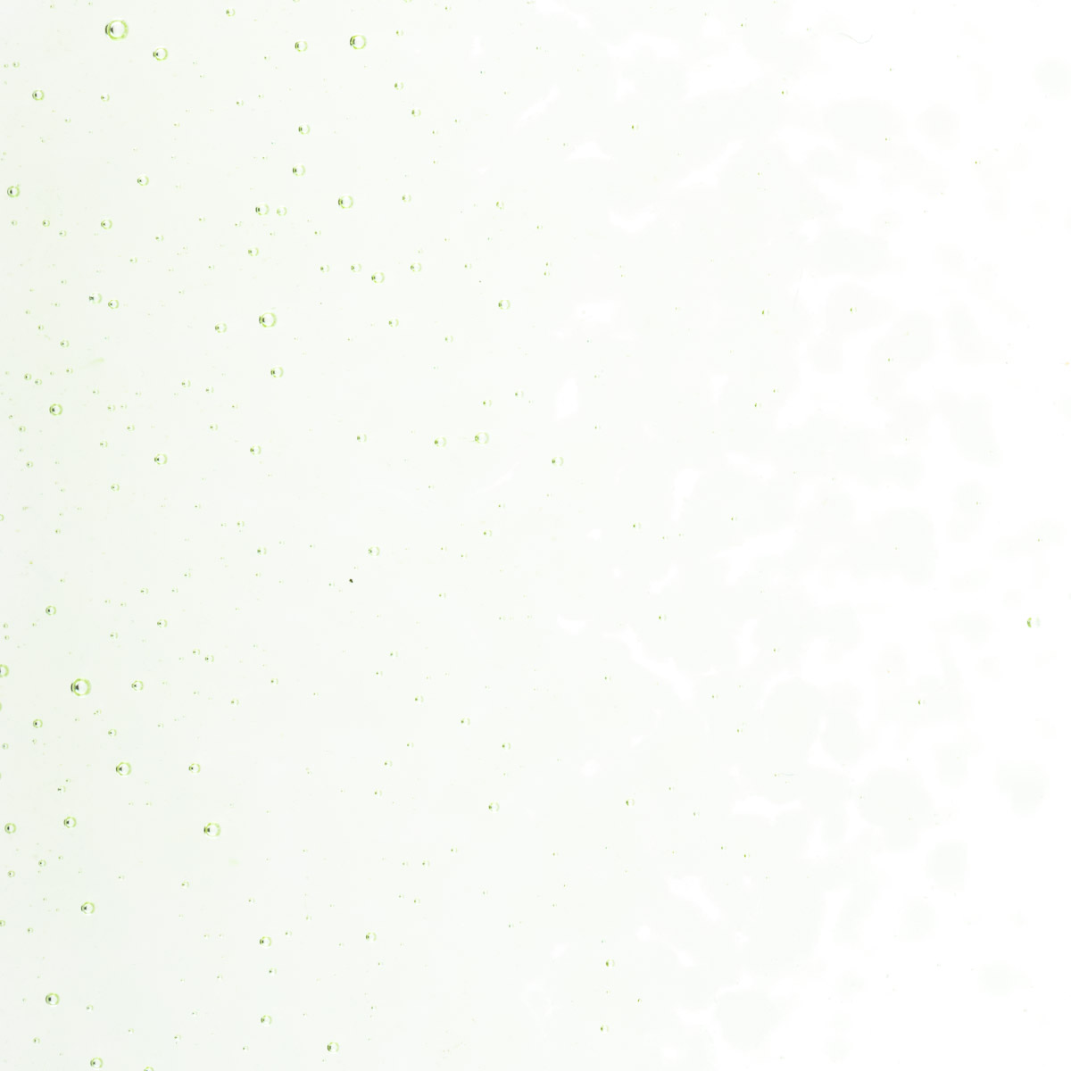 Featured image for “Grass Green Tint, Medium Frit 001807-0002-F_01”