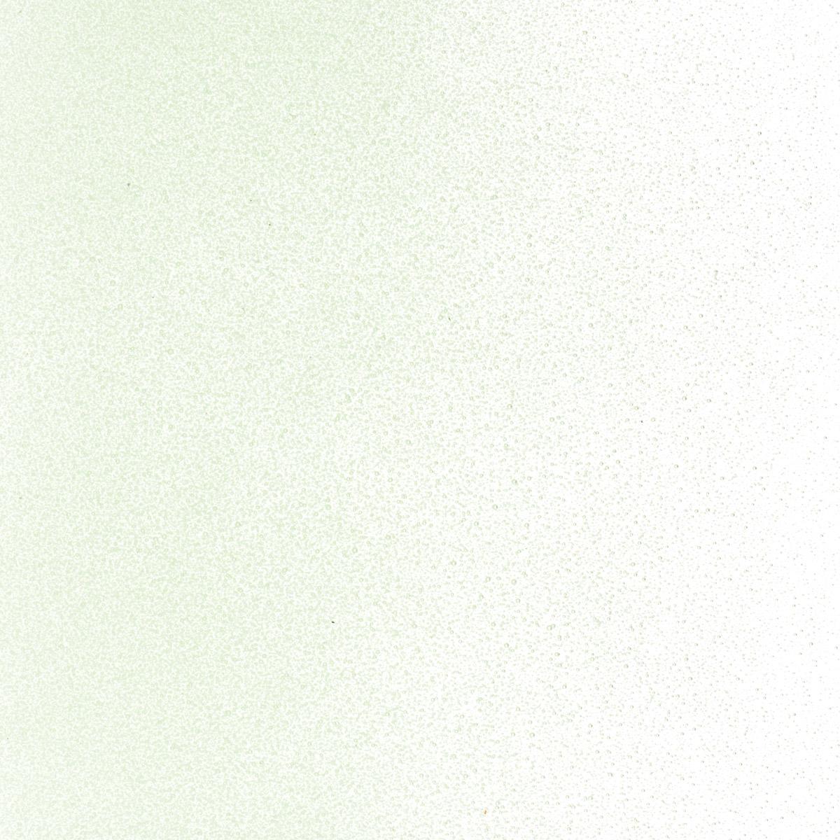 Featured image for “Grass Green Tint, Powder Frit 001807-0008-F_01”