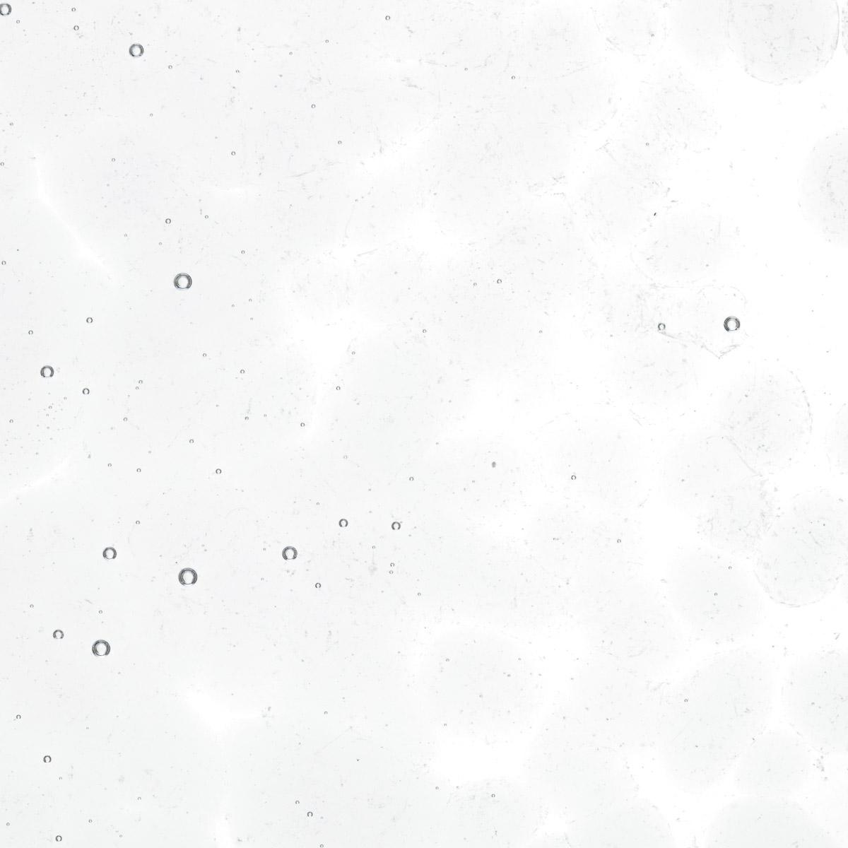 Featured image for “Gray Blue Tint, Coarse Frit 001864-0003-F_01”