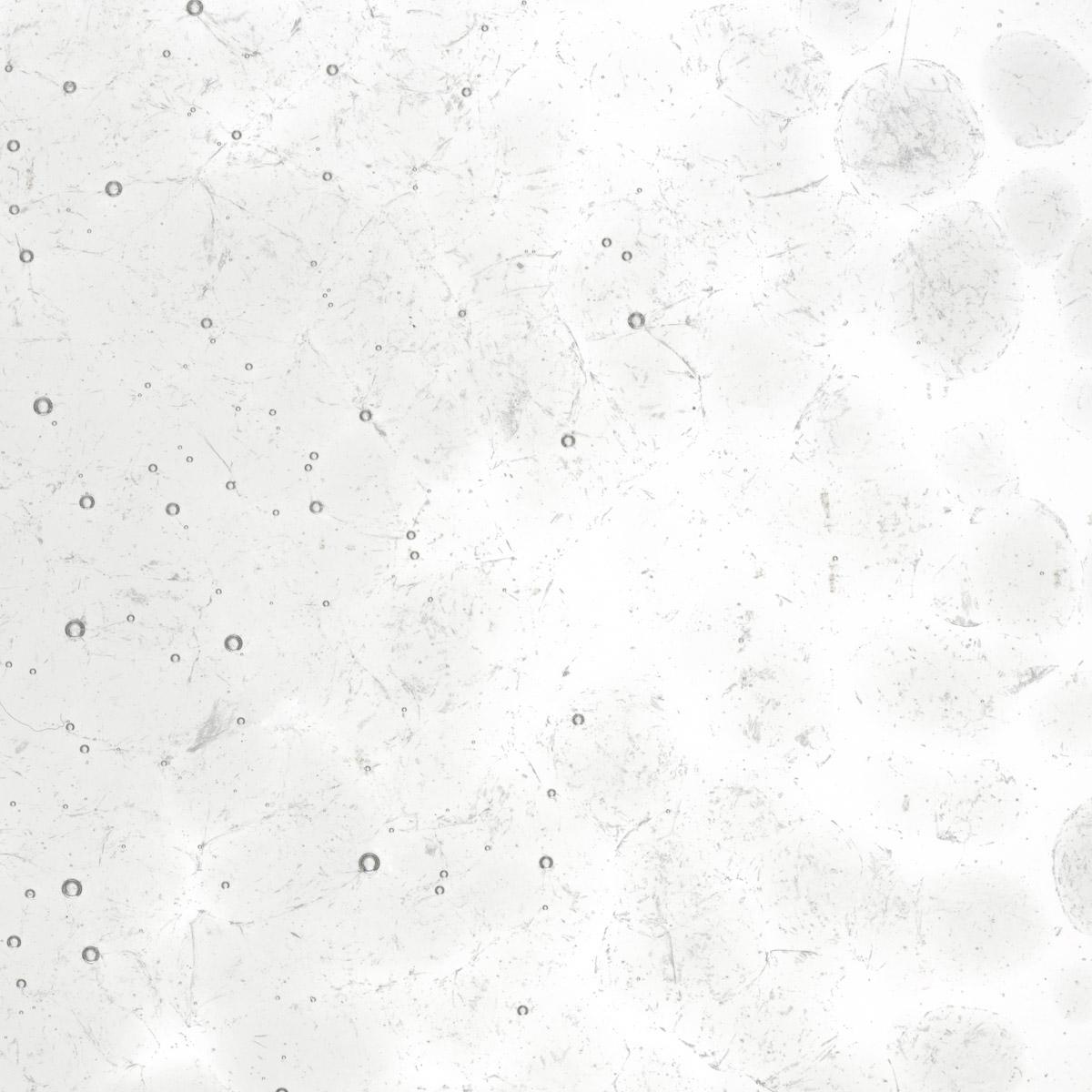 Featured image for “Gray Tint, Coarse Frit 001829-0003-F_01”
