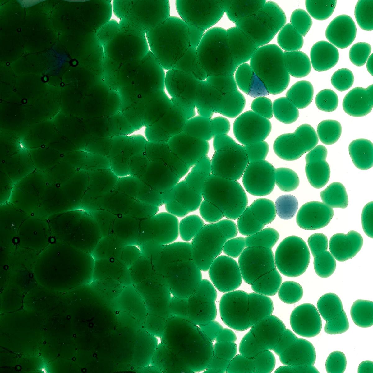 Featured image for “Kelly Green Transparent, Coarse Frit 001145-0003-F_01”