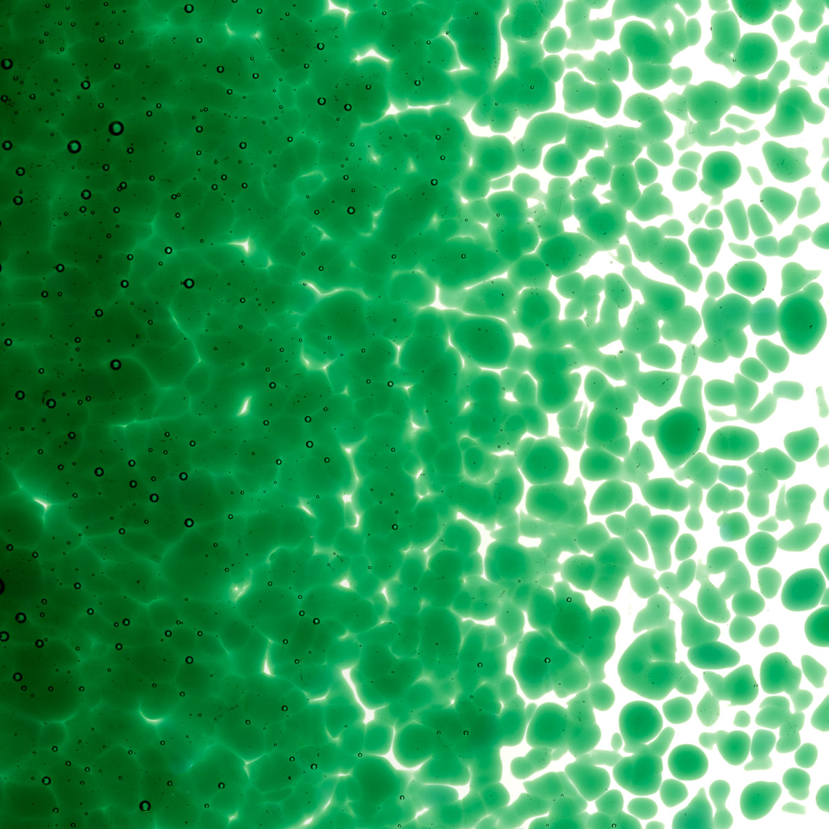 Featured image for “Kelly Green Transparent, Medium Frit 001145-0002-F_01”