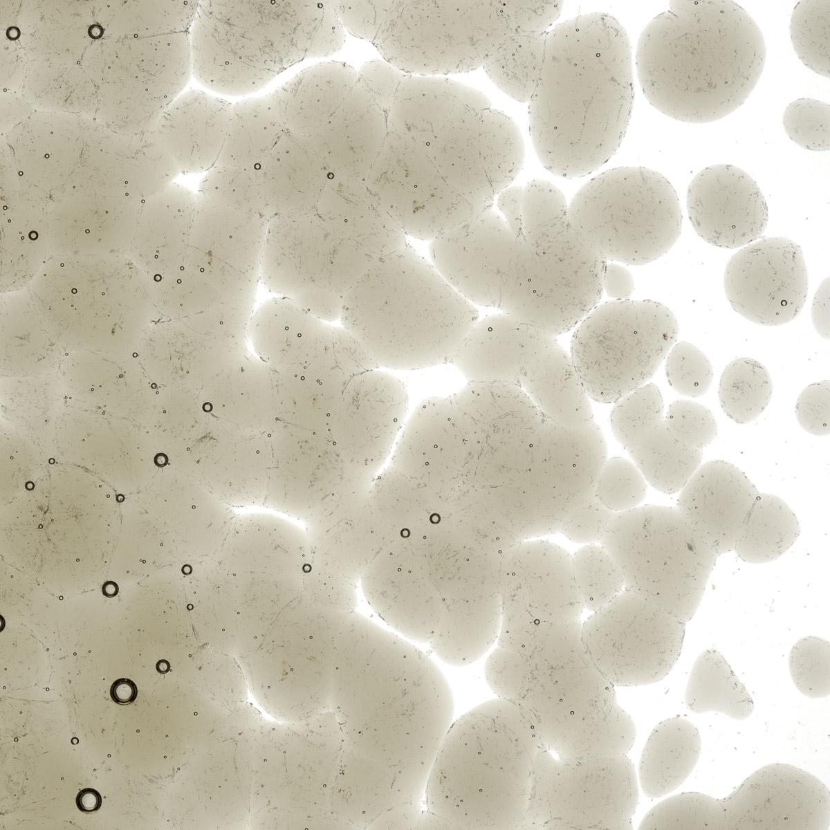 Featured image for “Khaki Transparent, Coarse Frit 001439-0003-F_01”