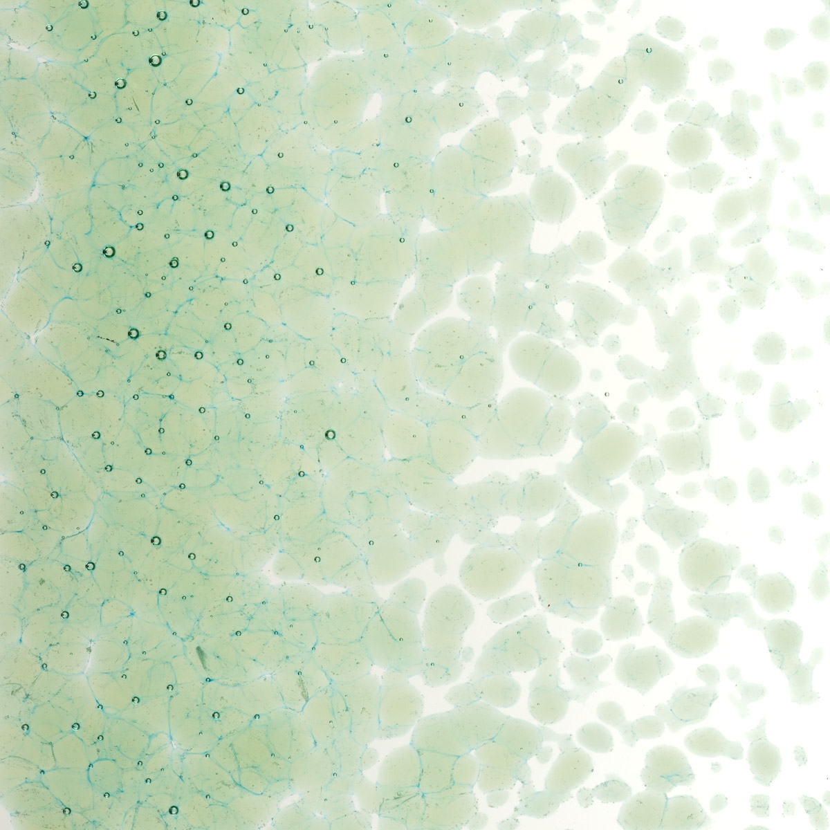 Featured image for “Leaf Green Transparent, Medium Frit 001217-0002-F_01”