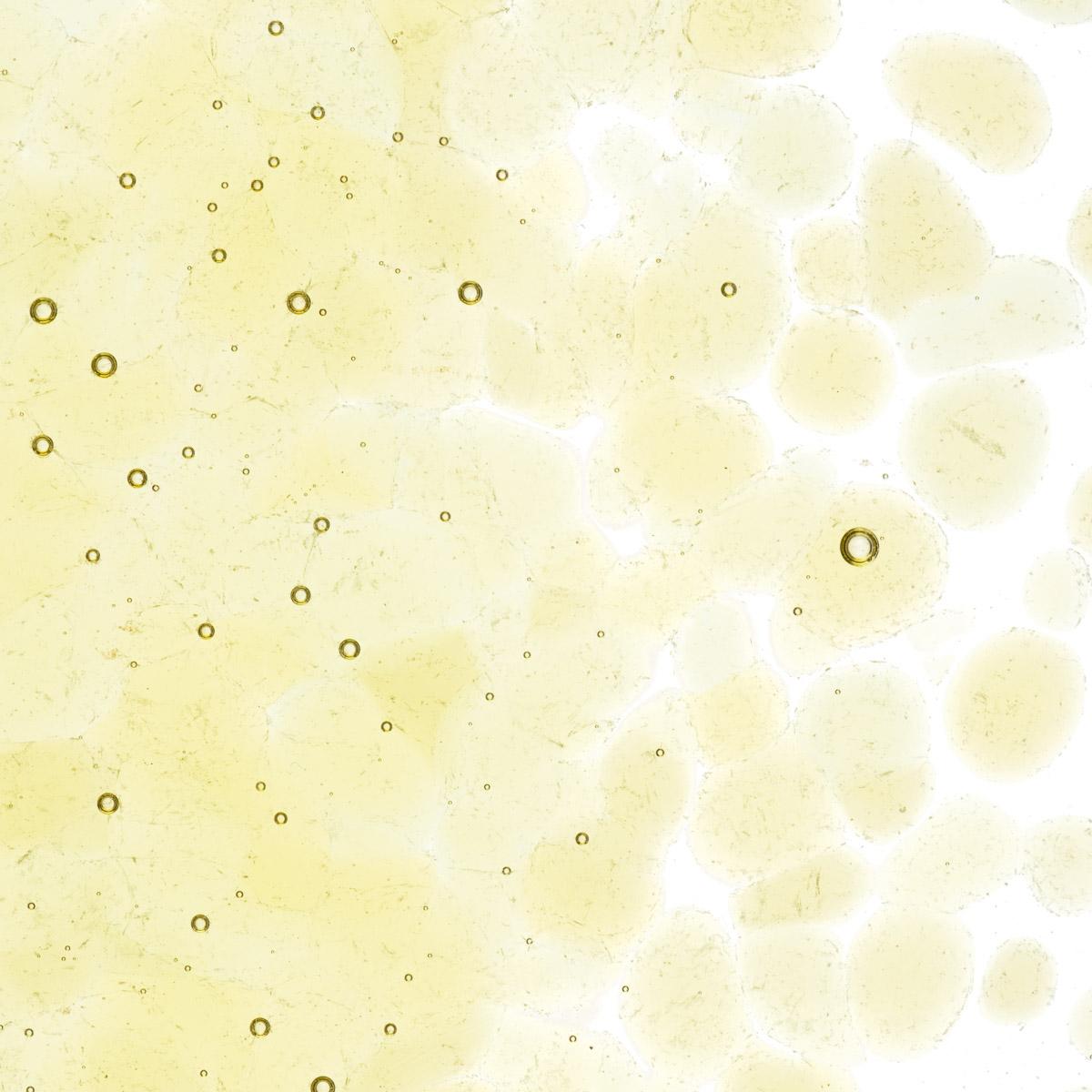 Featured image for “Light Amber Transparent, Coarse Frit 001437-0003-F_01”