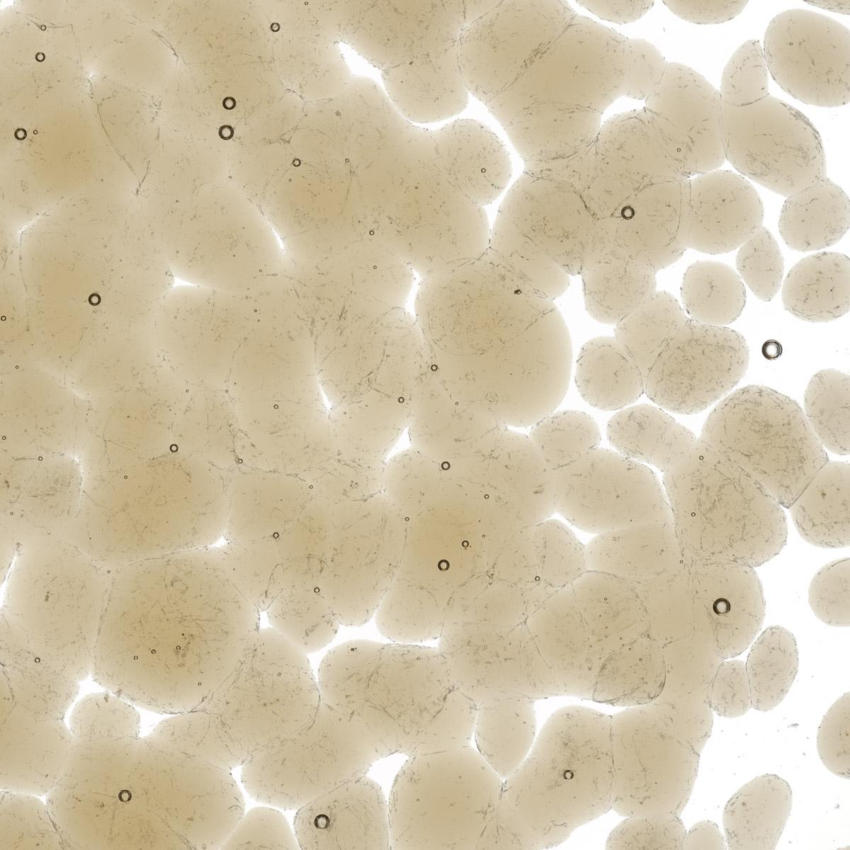 Featured image for “Light Bronze Transparent, Coarse Frit 001409-0003-F_01”
