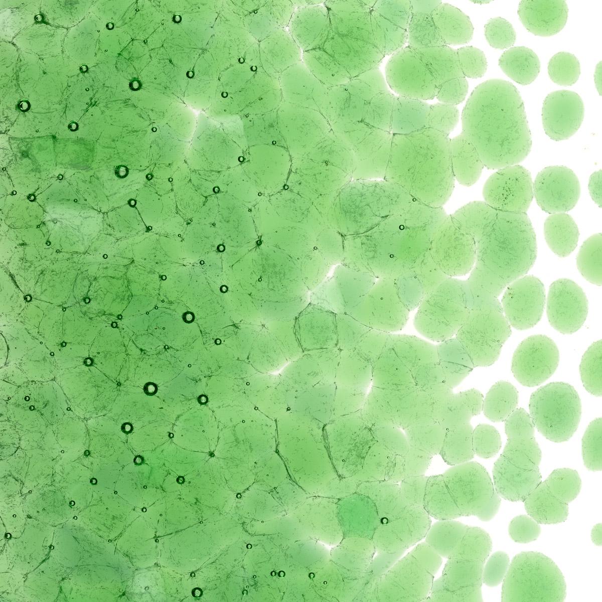 Featured image for “Light Green Transparent, Coarse Frit001107-0003-F_01”