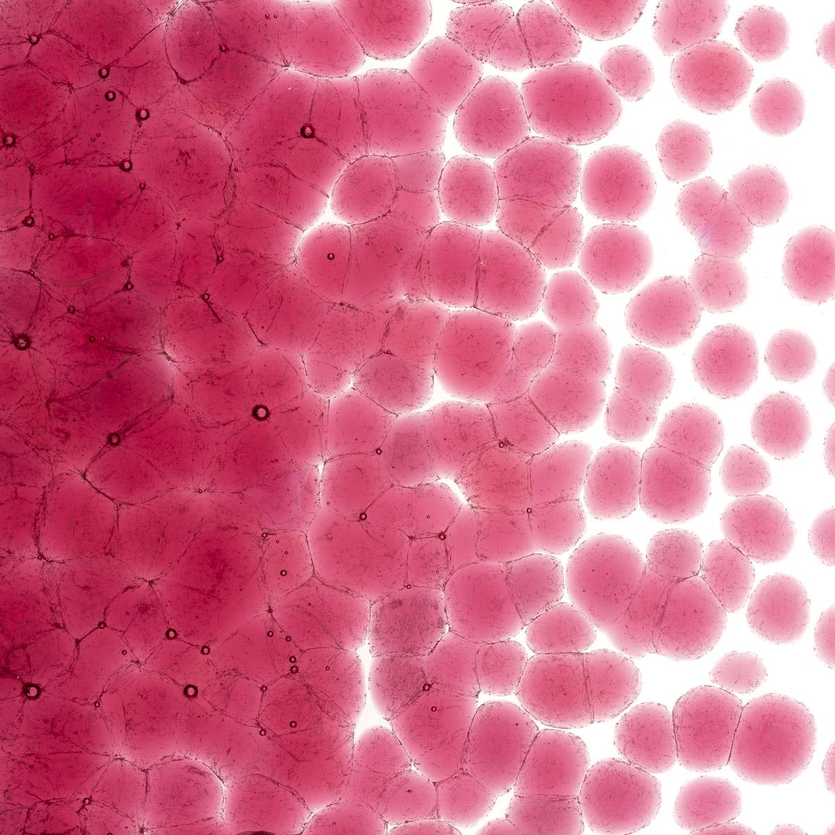 Featured image for “Light Pink Striker Transparent, Coarse Frit 001215-0003-F_01”