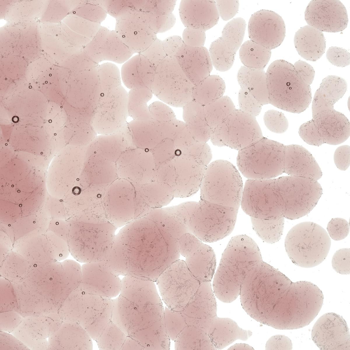 Featured image for “Light Plum Transparent, Coarse Frit 001405-0003-F_01”