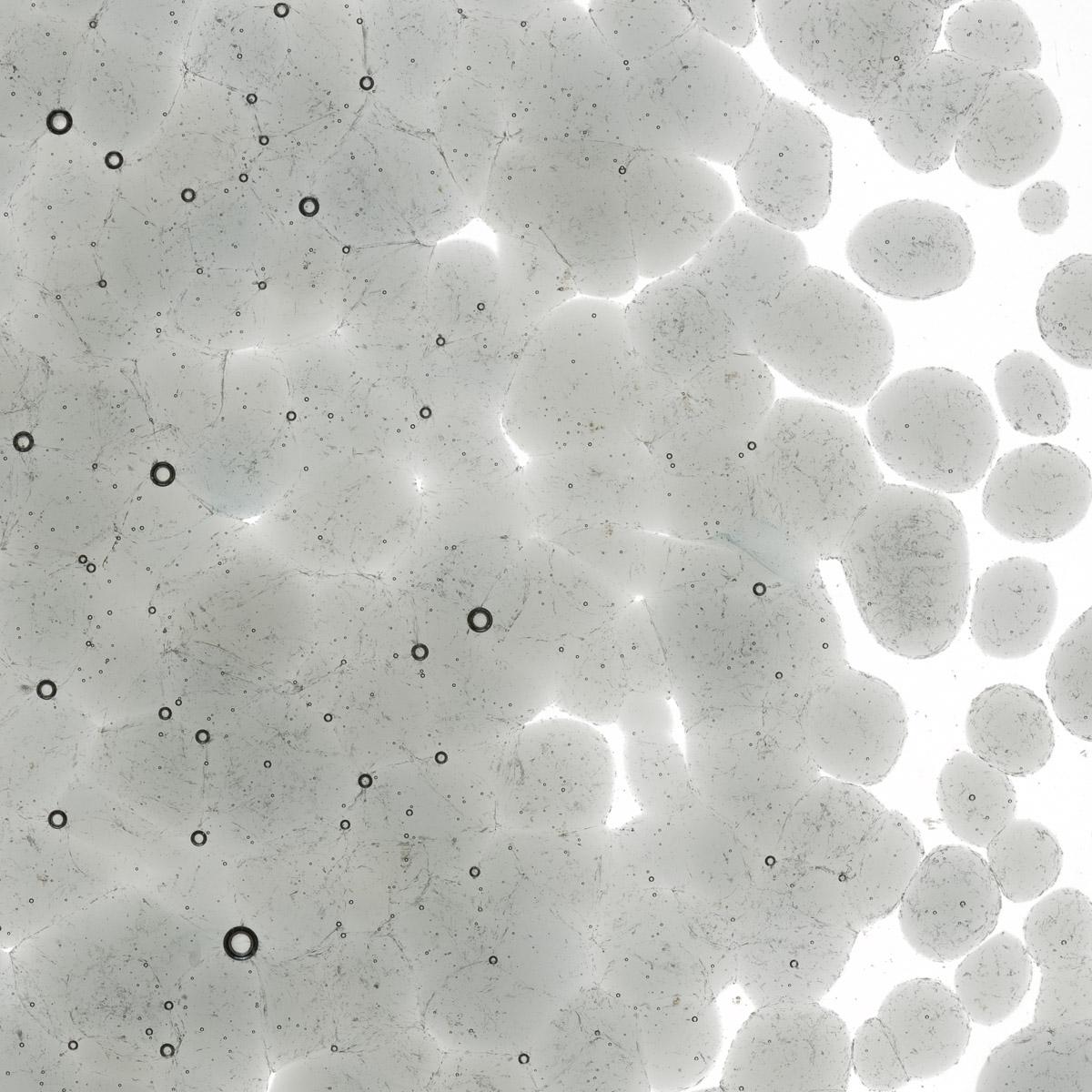 Featured image for “Light Silver Gray Transparent, Coarse Frit 001429-0003-F_01”