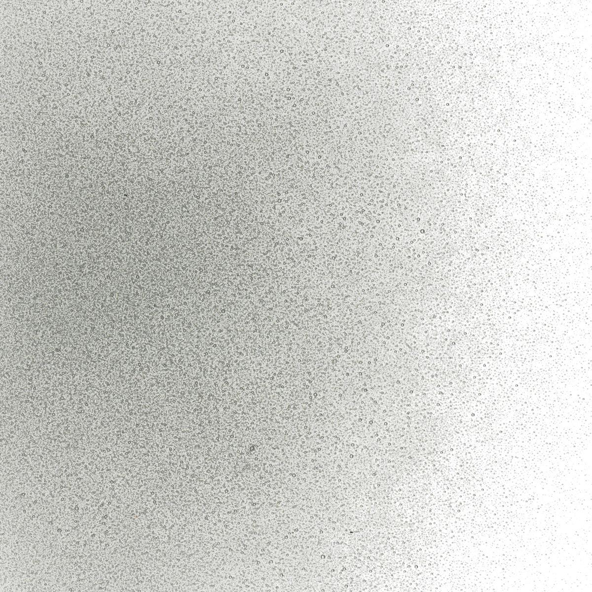 Featured image for “Light Silver Gray Transparent, Powder Frit 001429-0008-F_01”