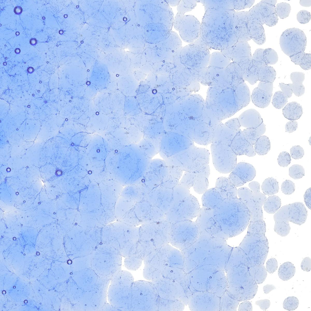 Featured image for “Light Sky Blue Transparent, Coarse Frit 001414-0003-F_01”