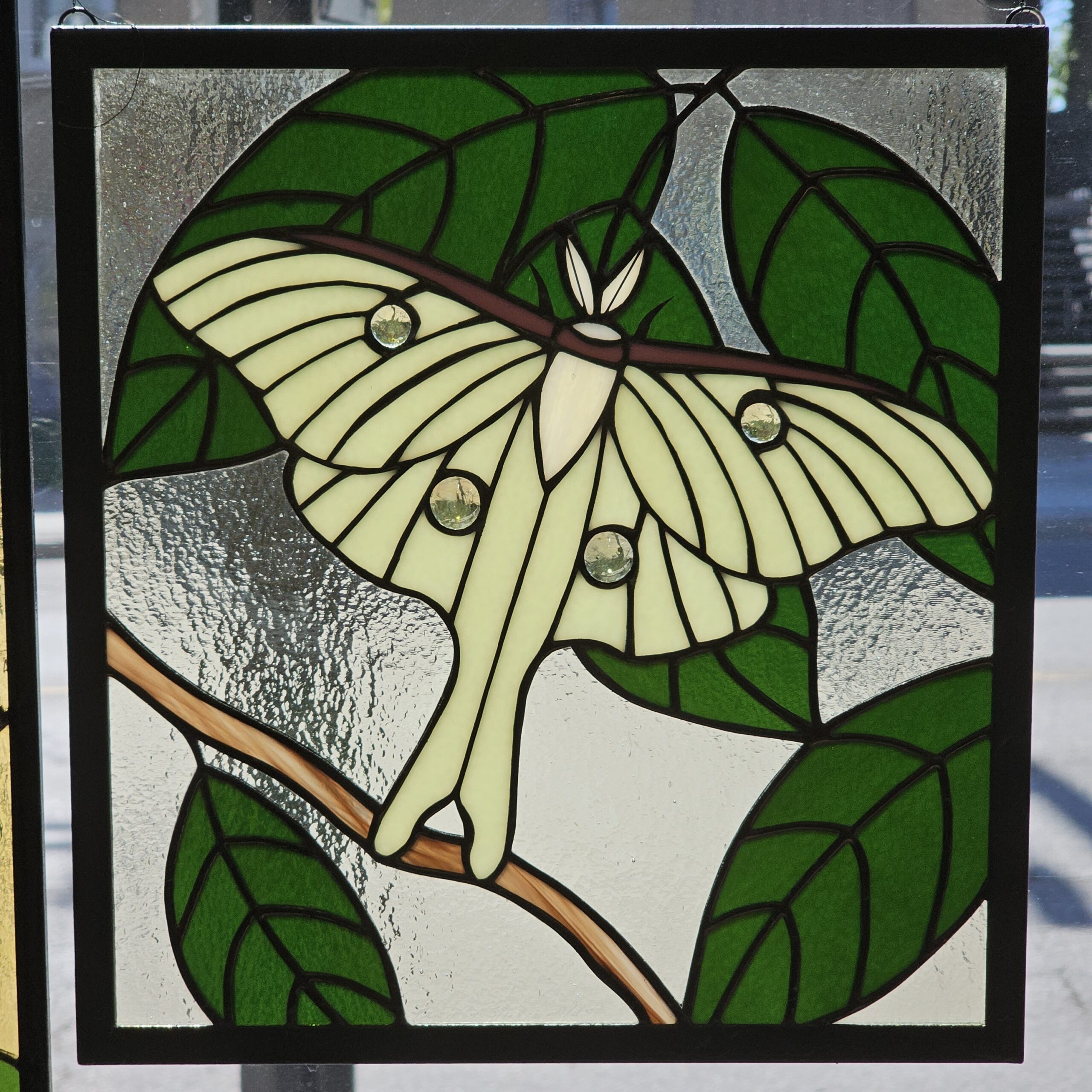 Featured image for ““Luna Moth””
