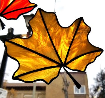 Featured image for “Maple Leaf”