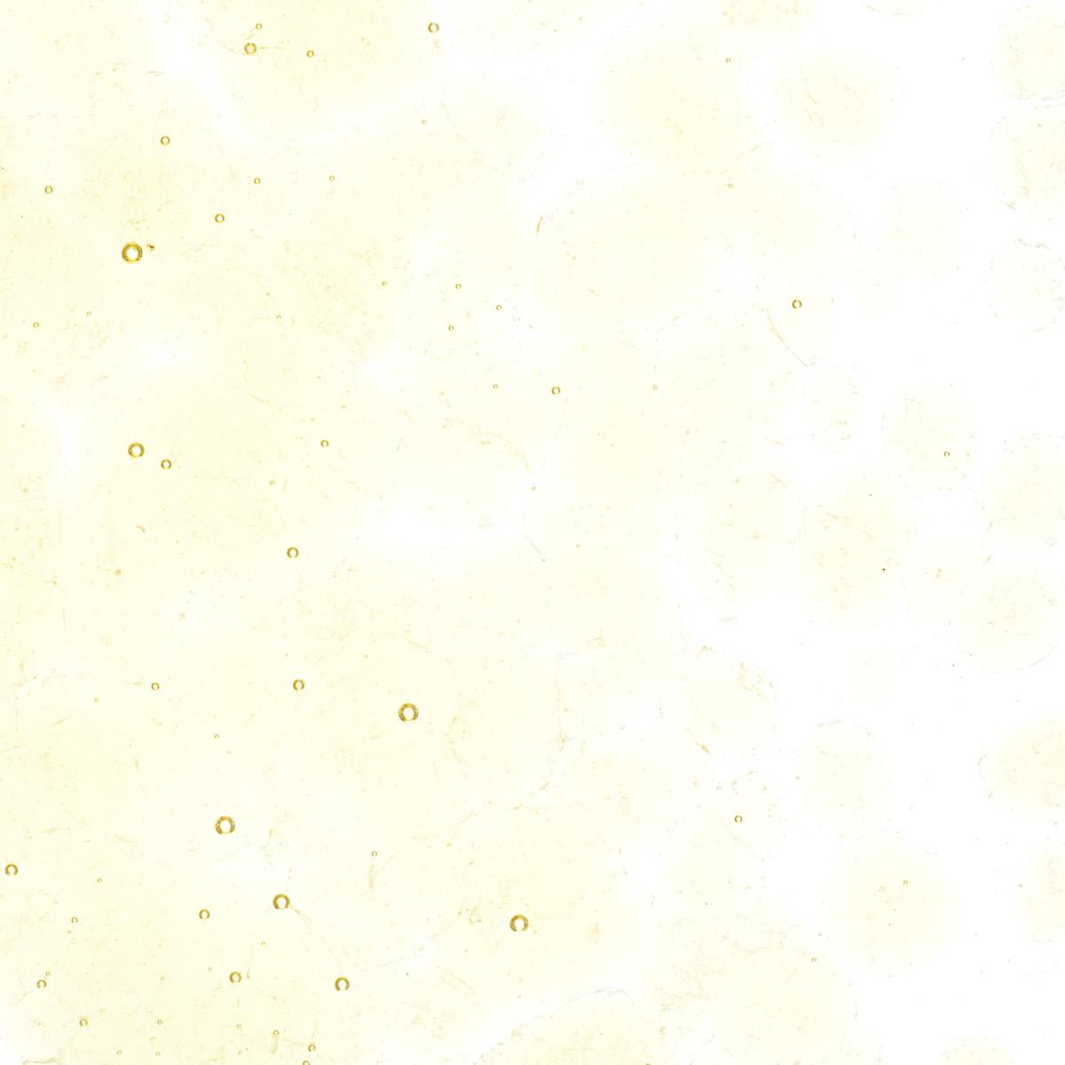 Featured image for “Medium Amber Tint, Coarse Frit 001837-0003-F_01”