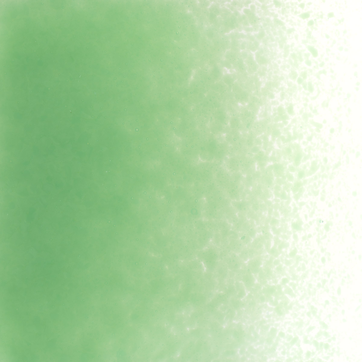 Featured image for “Mineral Green Opalescent, Fine Frit 000117-0001-F_01”