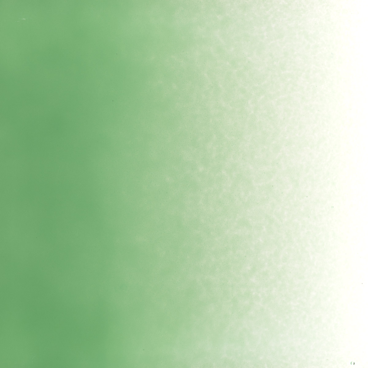 Featured image for “Mineral Green Opalescent, Powder Frit 000117-0008-F_01”