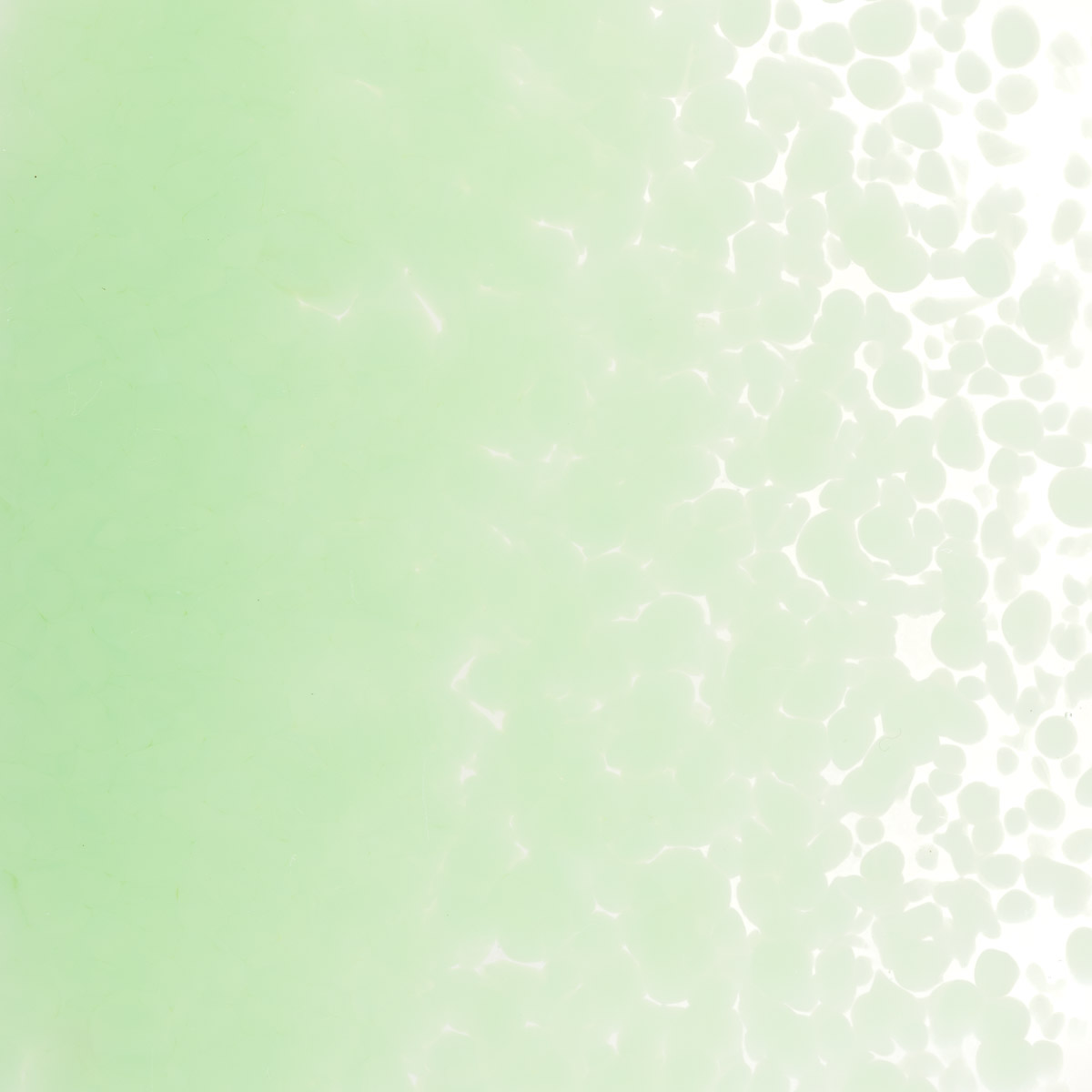 Featured image for “Mint Green Opalescent, Medium Frit 000112-0002-F_01”