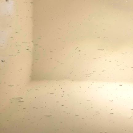 Featured image for “OGT Clear Seedy 100-F”
