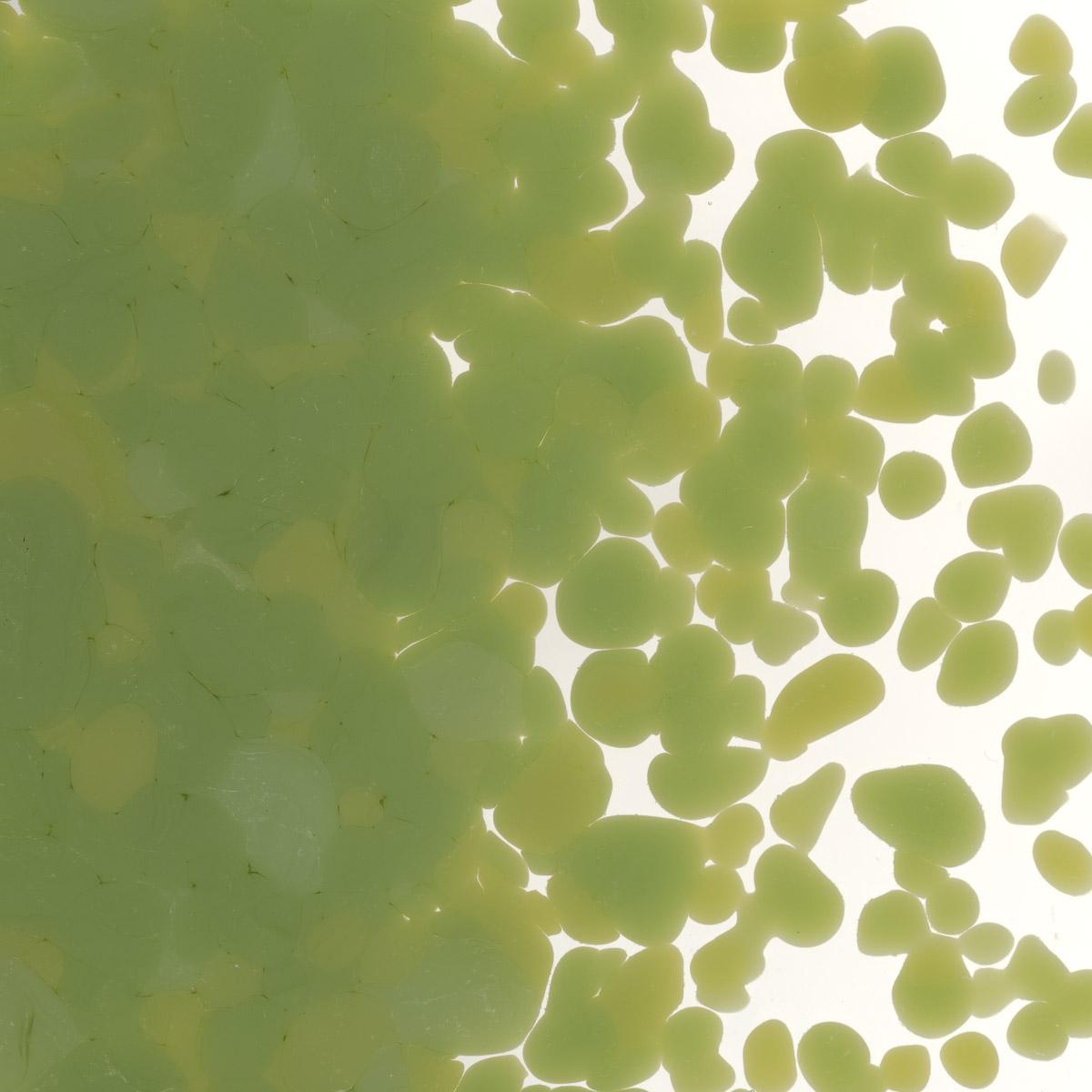 Featured image for “Olive Green Opalescent, Coarse Frit 000212-0003-F_01”