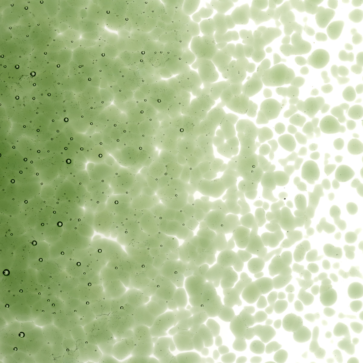 Featured image for “Olive Green Transparent, Medium Frit 001141-0002-F_01”