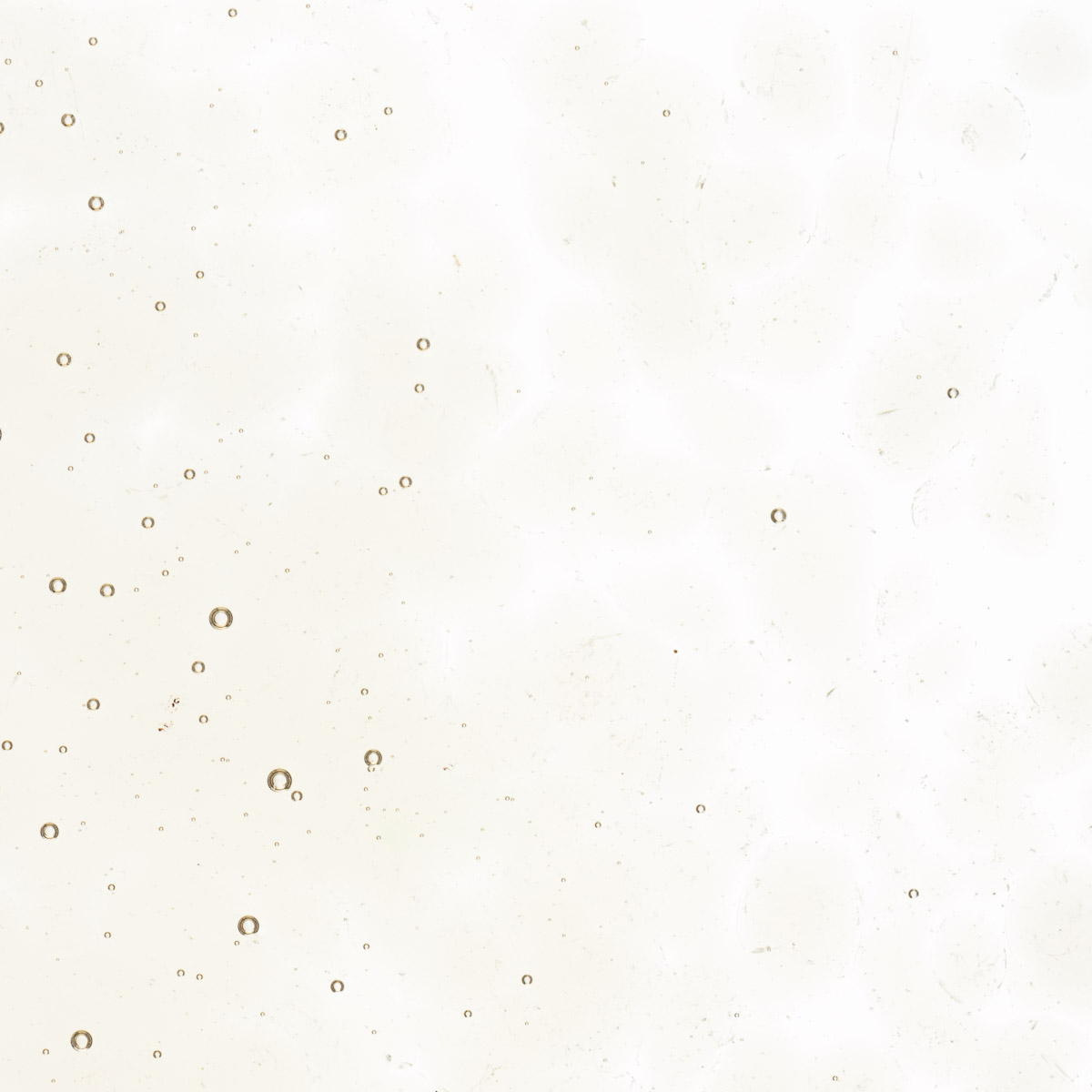 Featured image for “Olive Smoke Tint, Coarse Frit 001867-0003-F_01”