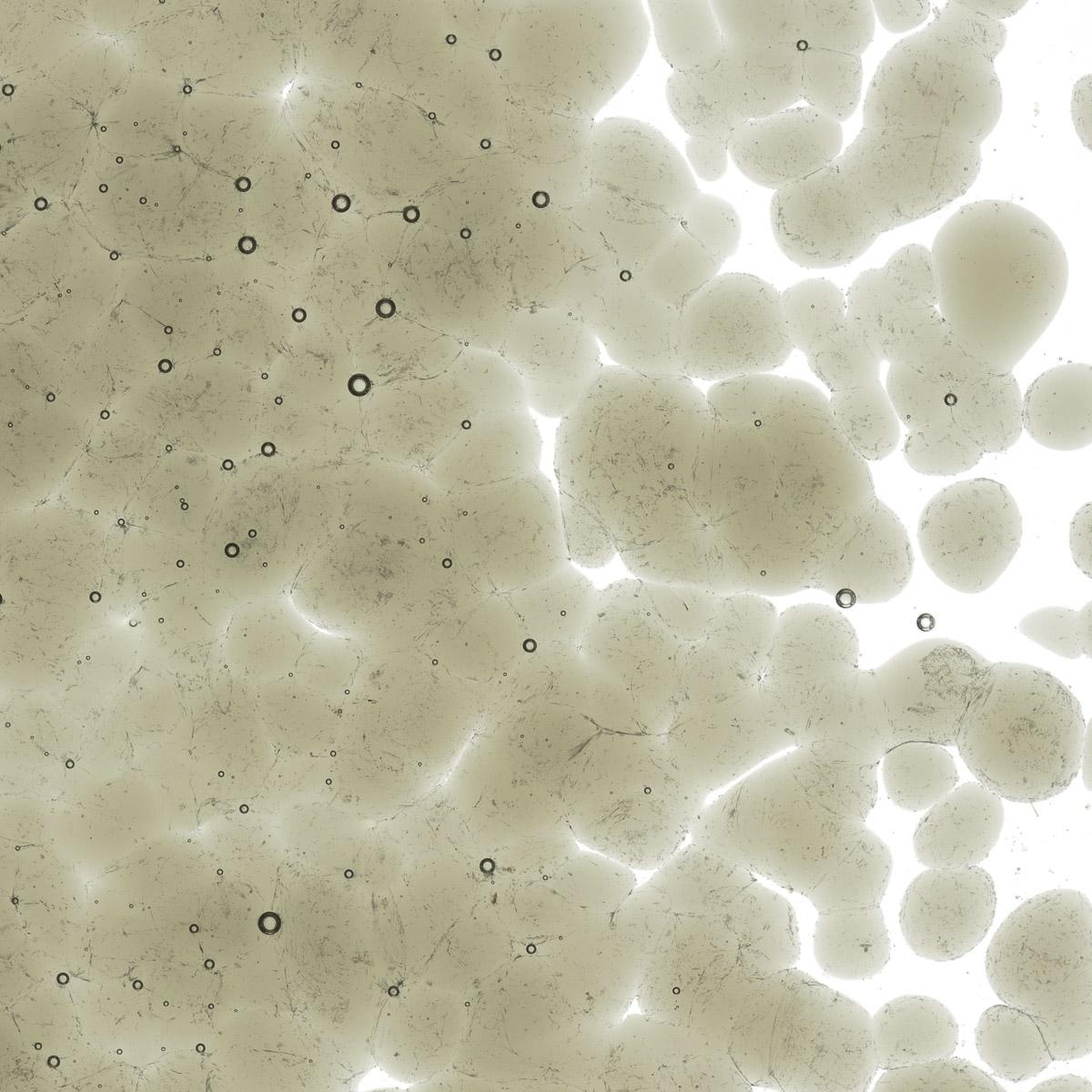 Featured image for “Oregon Gray Transparent, Coarse Frit 001449-0003-F_01”