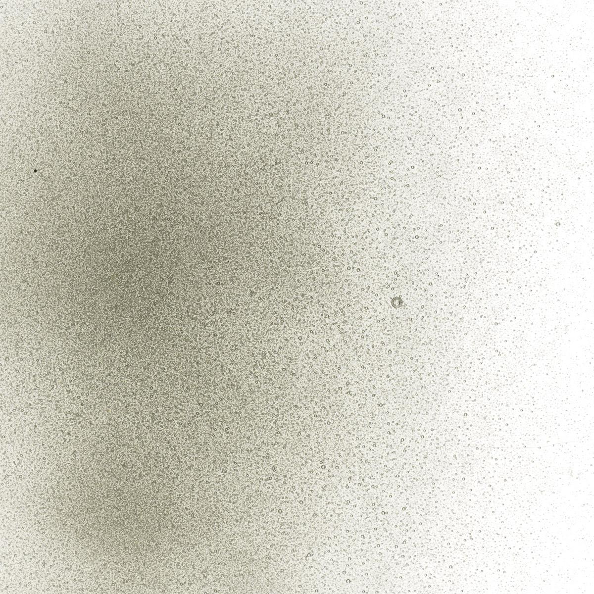 Featured image for “Oregon Gray Transparent, Powder Frit 001449-0008-F_01”