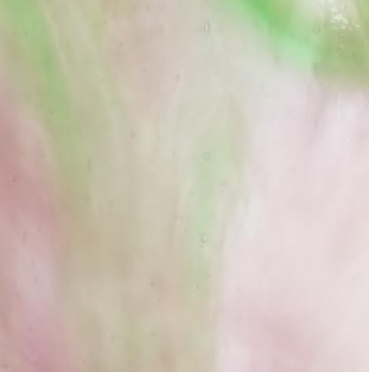 Featured image for “Yellow-Green,Medium Purple and White Opal PW217D”