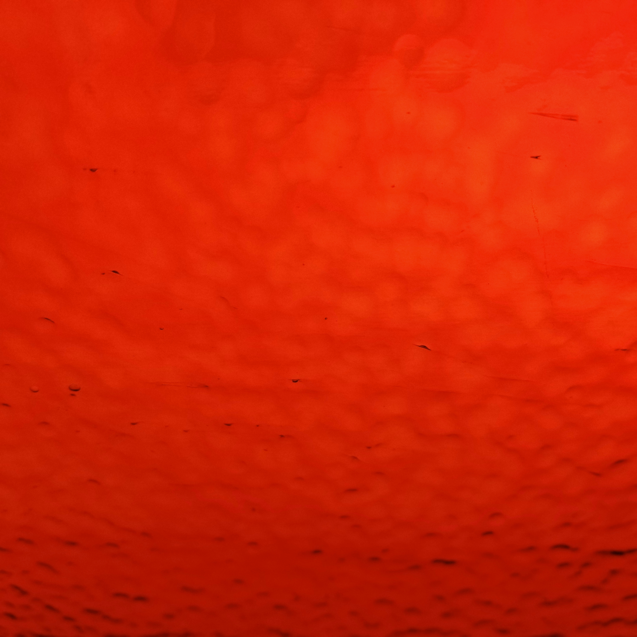 Featured image for “Paul Wissmach 18LLCC Orange Corella Classic”
