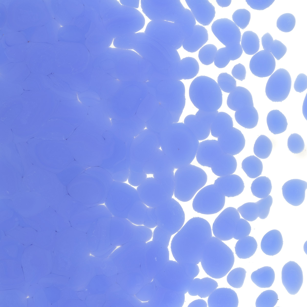 Featured image for “Periwinkle Opalescent, Coarse Frit 000118-0003-F_01”