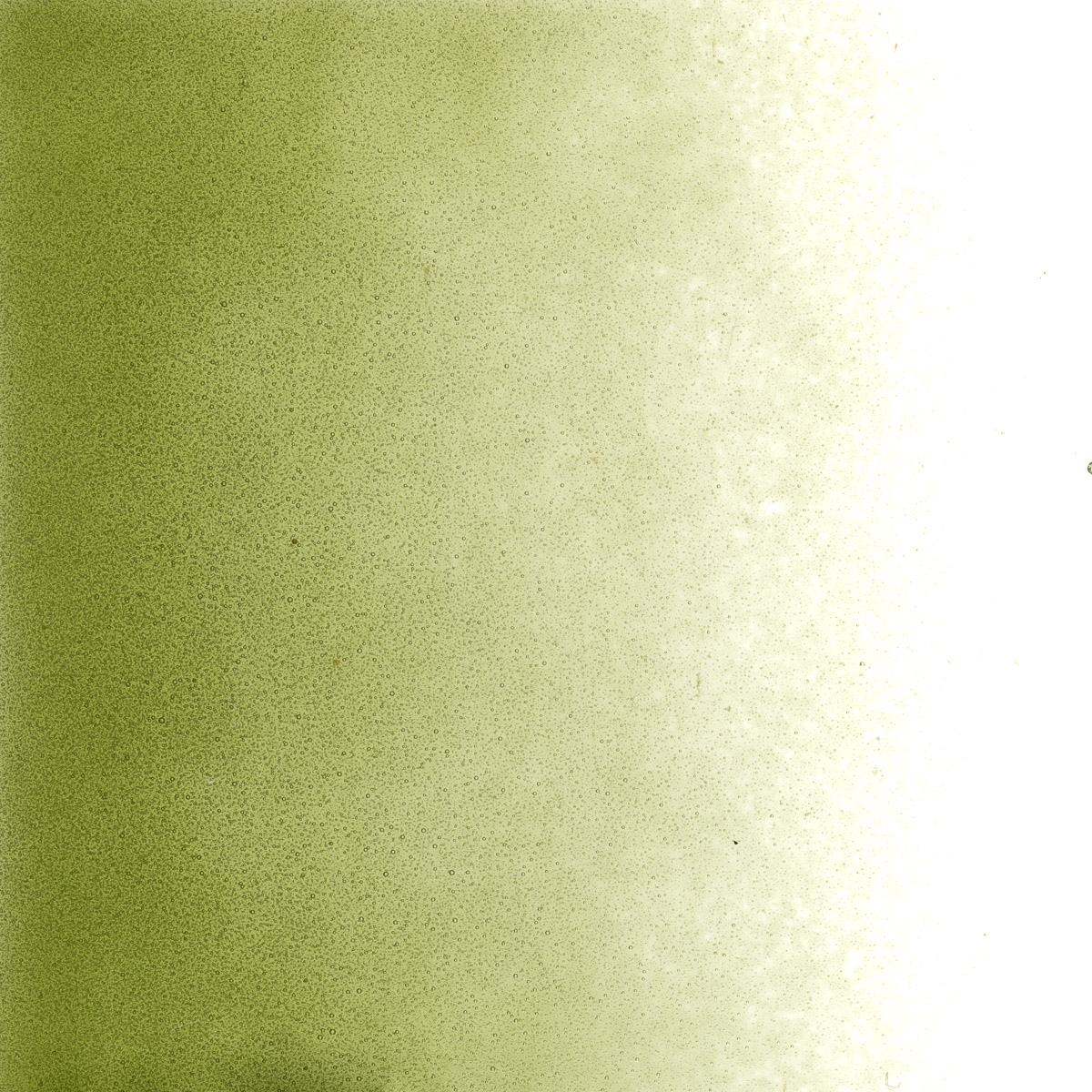 Featured image for “Pine Green Transparent, Powder Frit 001241-0008-F_01”