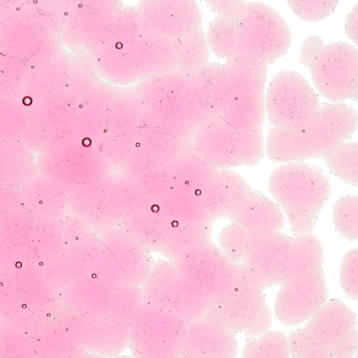 Featured image for “Ruby Pink Striker Tint, Coarse Frit 001831-0003-F_01”