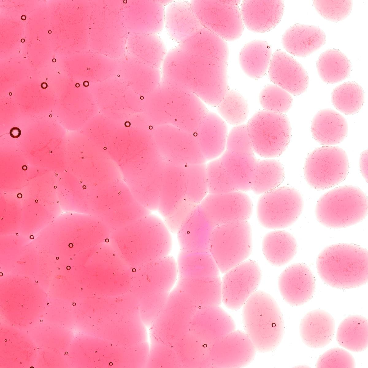 Featured image for “Ruby Red Striker Tint, Coarse Frit 001824-0003-F_01”