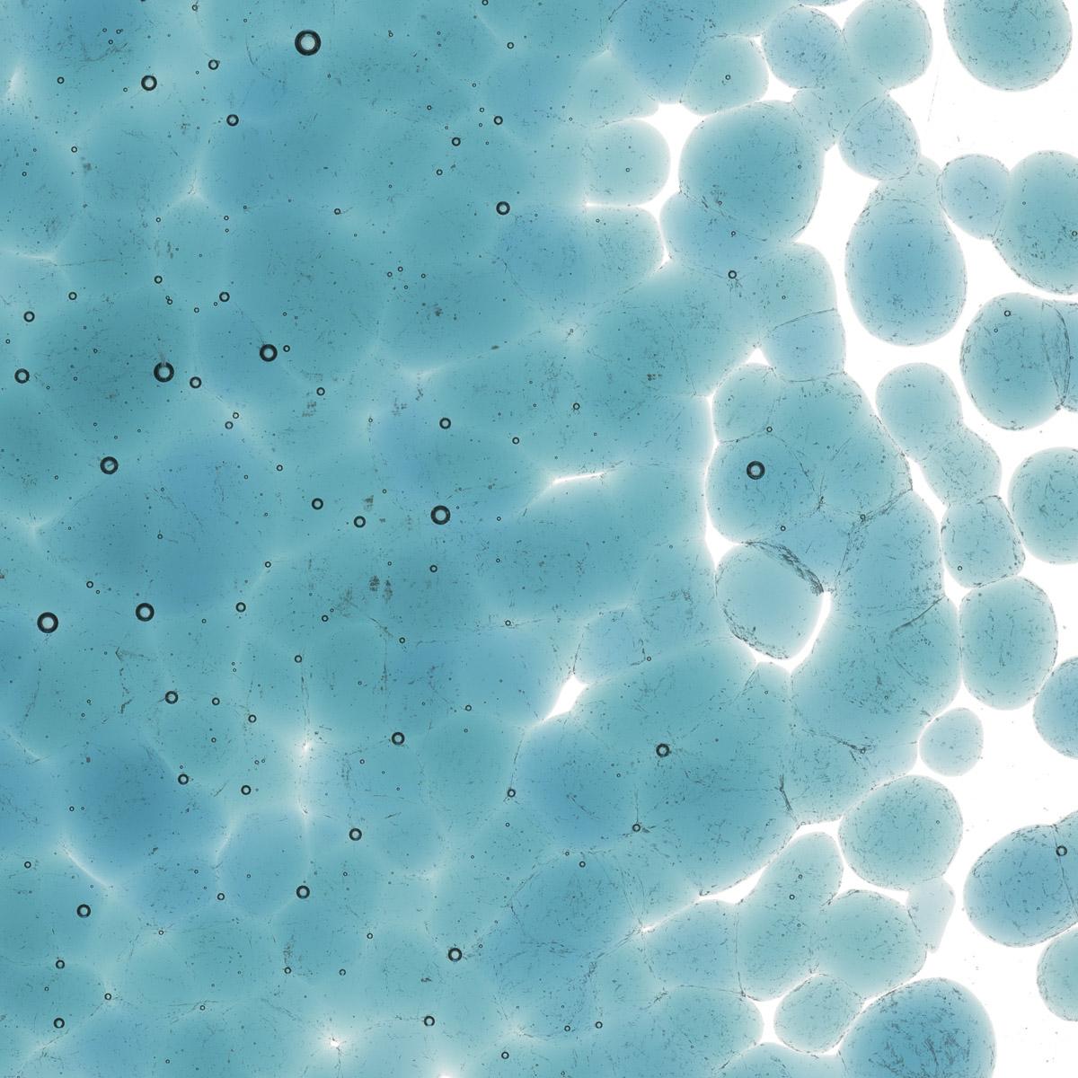 Featured image for “Sea Blue Transparent, Coarse Frit 001444-0003-F_01”