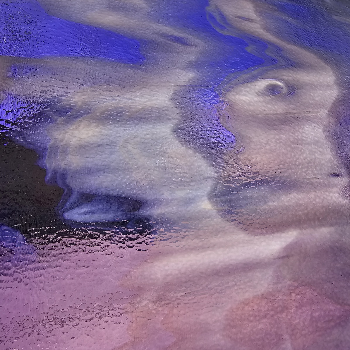 Featured image for “Special Production Violet and White Streaky BU-2001-90”