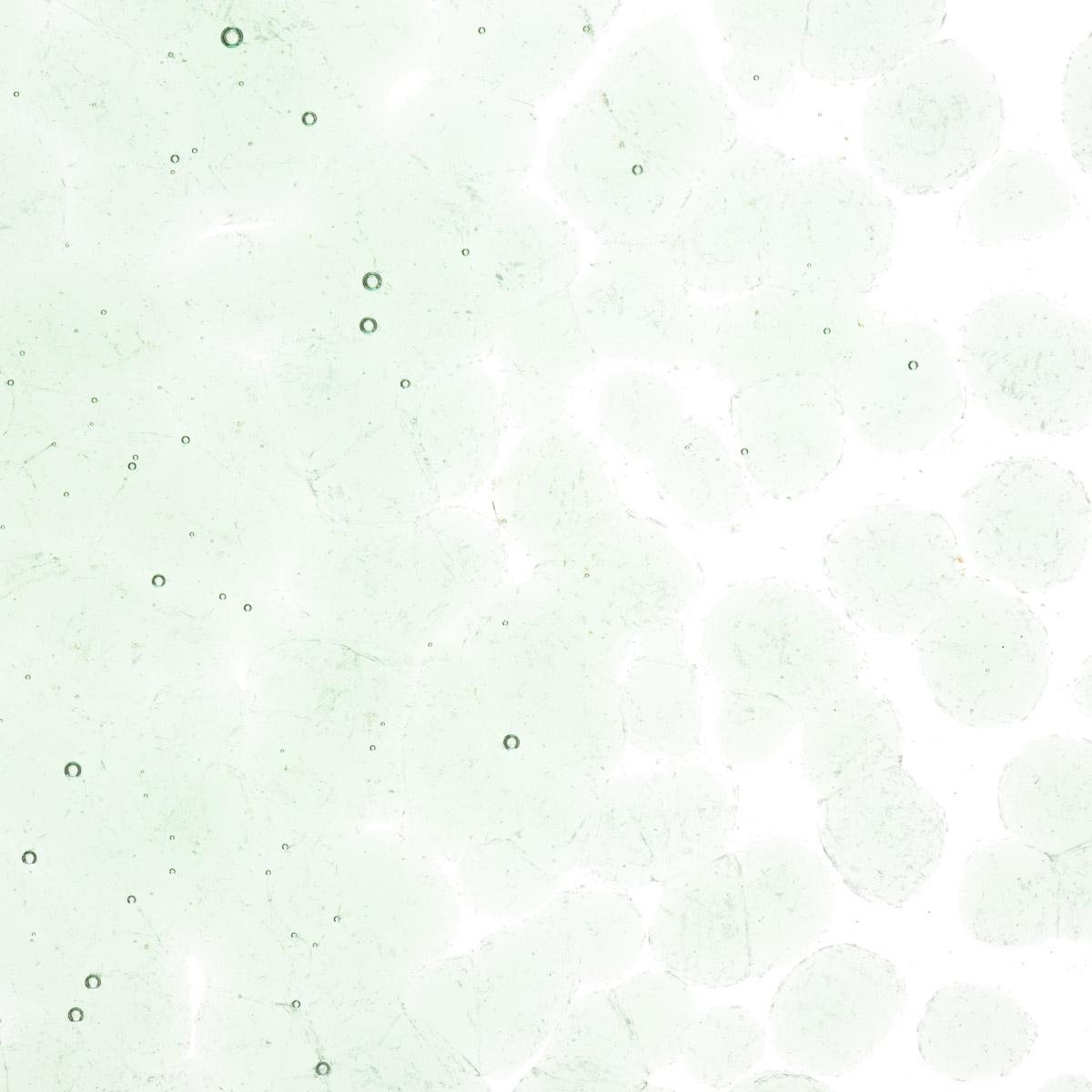 Featured image for “Spruce Green Tint, Coarse Frit 001841-0003-F_01”
