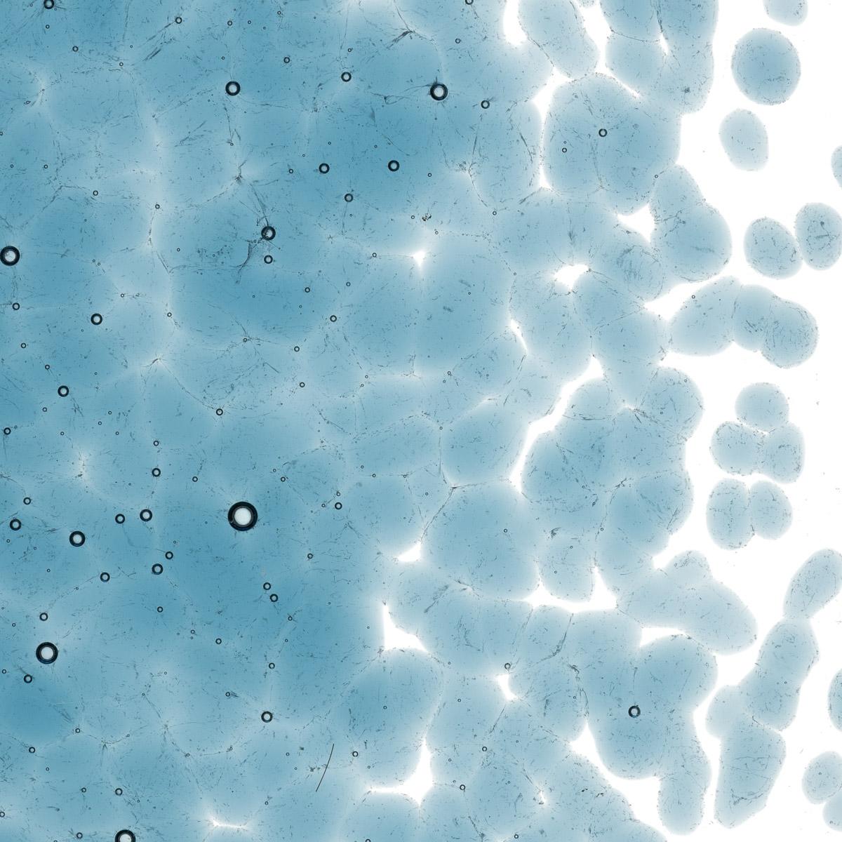 Featured image for “Steel Blue Transparent, Coarse Frit 001406-0003-F_01”