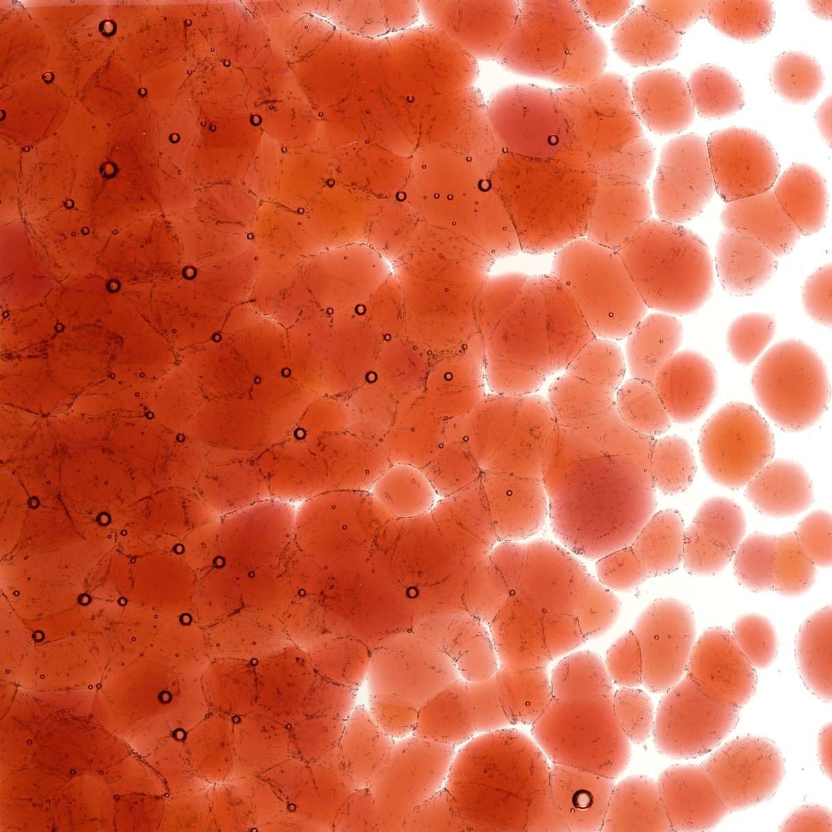 Featured image for “Sunset Coral Transparent, Coarse Frit 001305-0003-F_01”