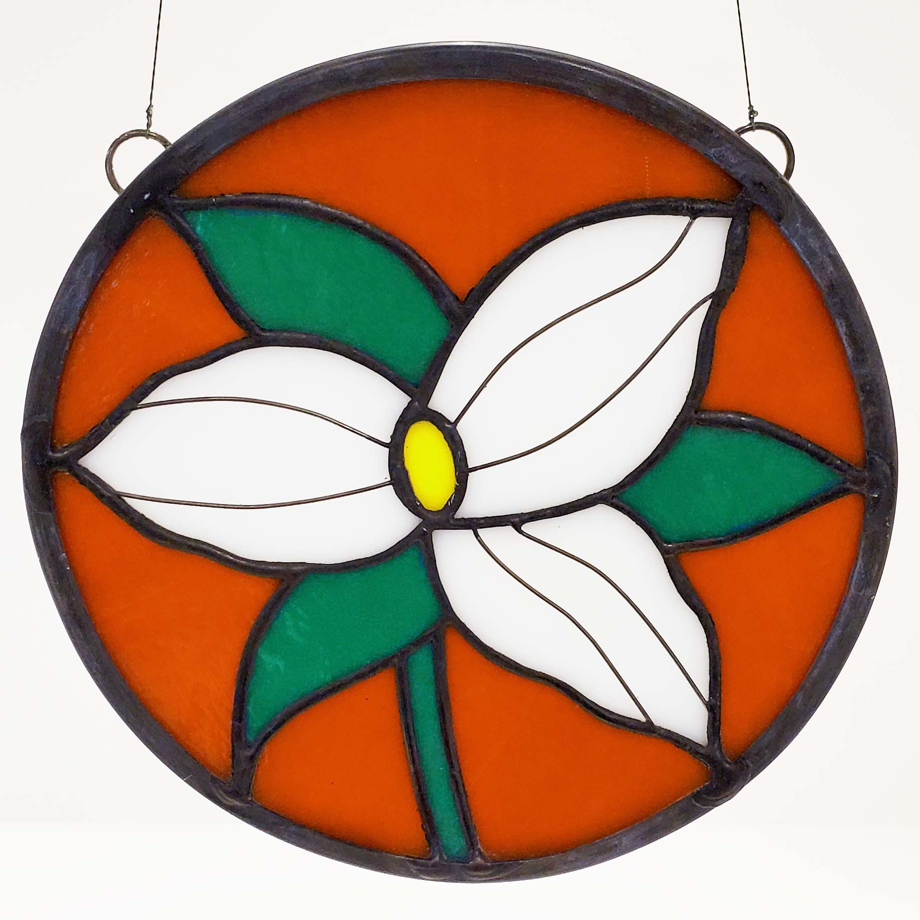 Featured image for “Canadian Wild Flower “Trillium””