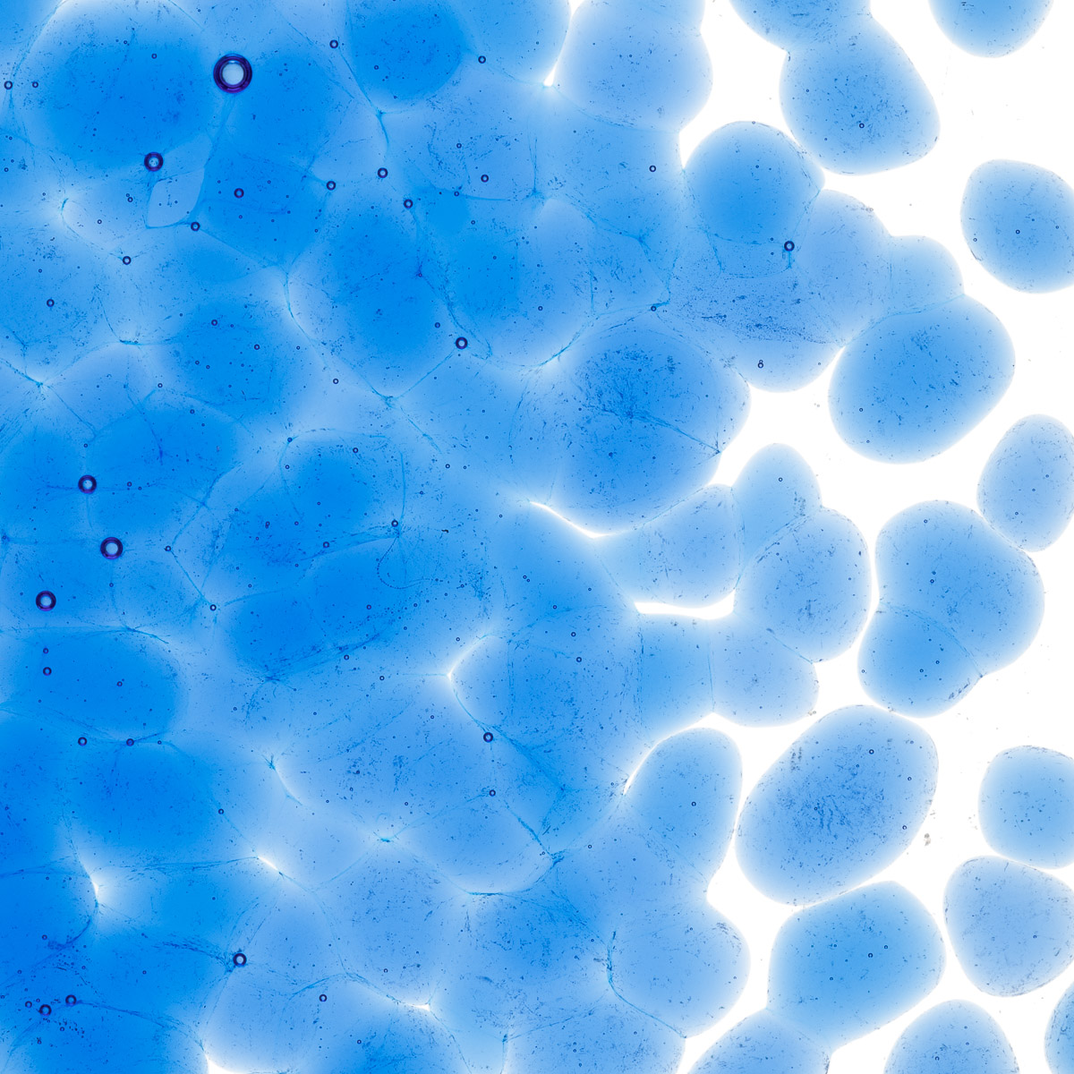 Featured image for “True Blue Transparent, Coarse Frit 001464-0003-F_01”