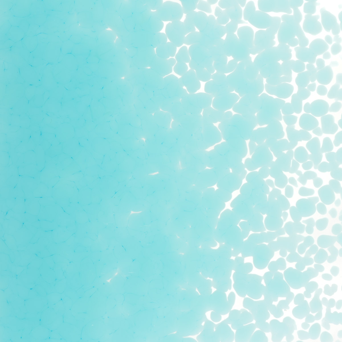 Featured image for “Turquoise Blue Opalescent, Medium Frit 000116-0002-F_01”
